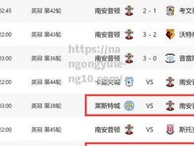 南宫娱乐-南安普顿客场取胜，赢得两连胜