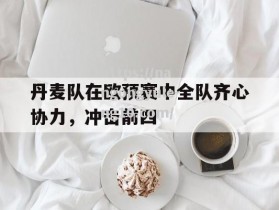 南宫娱乐-丹麦队在欧预赛中全队齐心协力，冲击前四