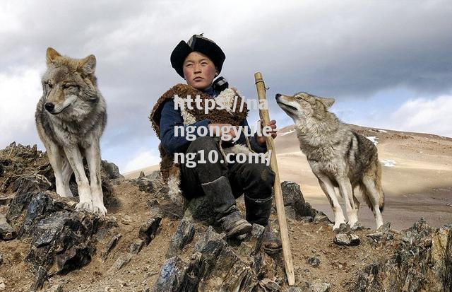 绿城主场遭遇一场惨败，危机四伏